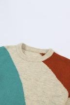 Multicolor Colorblock Ribbed Trim Round Neck Sweater
