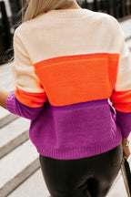 Multicolor Color Block Drop Shoulder Round Neck Knit Sweater