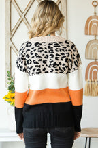 Khaki Leopard Color Block Long Sleeve Sweater